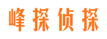 太康市私家侦探